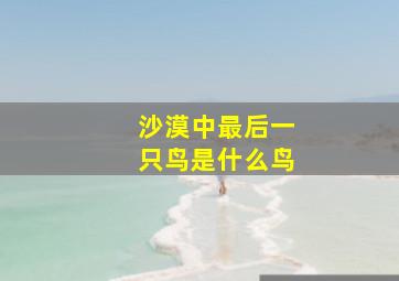 沙漠中最后一只鸟是什么鸟