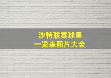 沙特联赛球星一览表图片大全