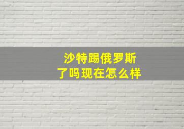 沙特踢俄罗斯了吗现在怎么样