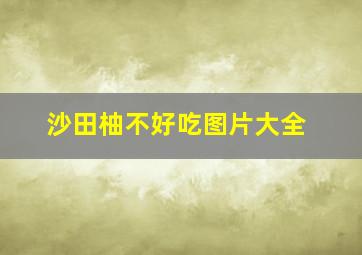 沙田柚不好吃图片大全