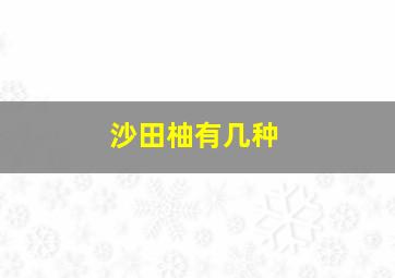 沙田柚有几种