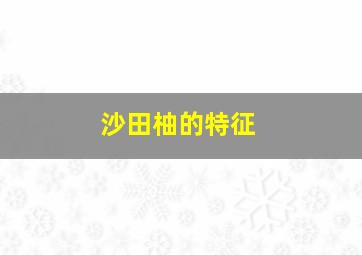 沙田柚的特征