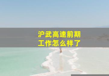 沪武高速前期工作怎么样了