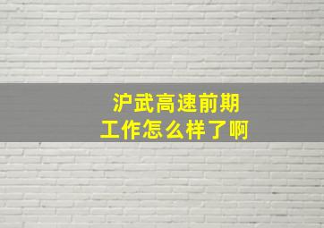 沪武高速前期工作怎么样了啊