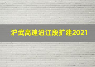 沪武高速沿江段扩建2021