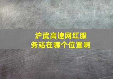 沪武高速网红服务站在哪个位置啊