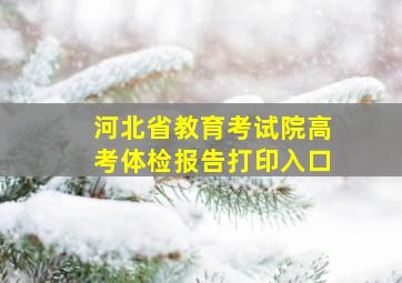 河北省教育考试院高考体检报告打印入口