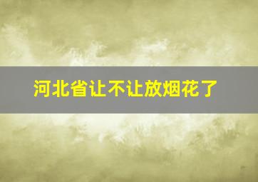 河北省让不让放烟花了