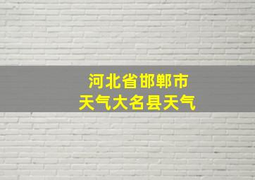 河北省邯郸市天气大名县天气