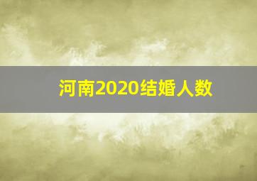 河南2020结婚人数