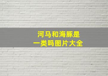 河马和海豚是一类吗图片大全