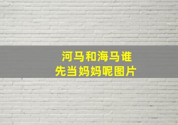 河马和海马谁先当妈妈呢图片