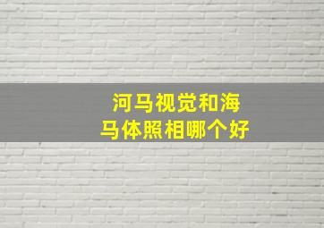 河马视觉和海马体照相哪个好