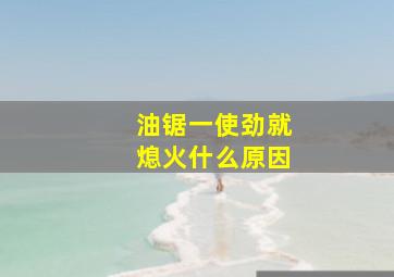 油锯一使劲就熄火什么原因