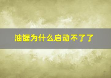 油锯为什么启动不了了