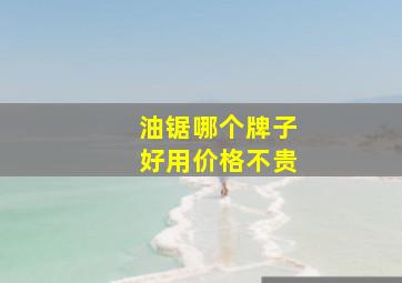 油锯哪个牌子好用价格不贵