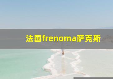 法国frenoma萨克斯