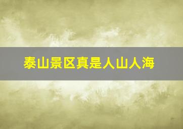 泰山景区真是人山人海