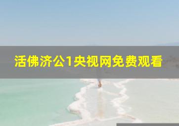 活佛济公1央视网免费观看