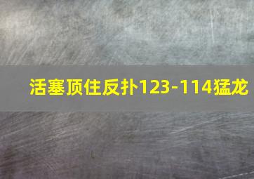 活塞顶住反扑123-114猛龙