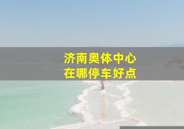 济南奥体中心在哪停车好点