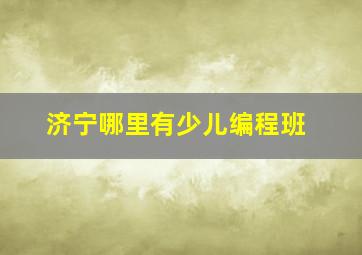 济宁哪里有少儿编程班