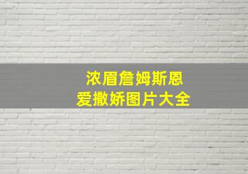 浓眉詹姆斯恩爱撒娇图片大全