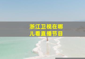 浙江卫视在哪儿看直播节目