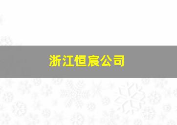 浙江恒宸公司