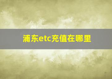 浦东etc充值在哪里