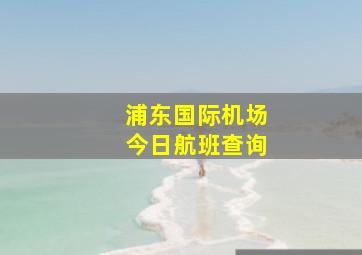 浦东国际机场今日航班查询