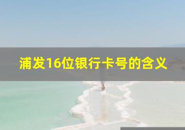 浦发16位银行卡号的含义