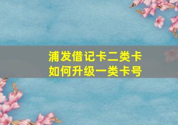 浦发借记卡二类卡如何升级一类卡号