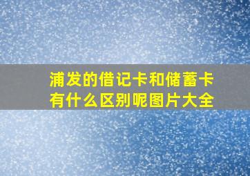 浦发的借记卡和储蓄卡有什么区别呢图片大全