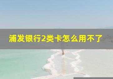 浦发银行2类卡怎么用不了