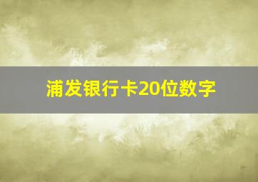 浦发银行卡20位数字