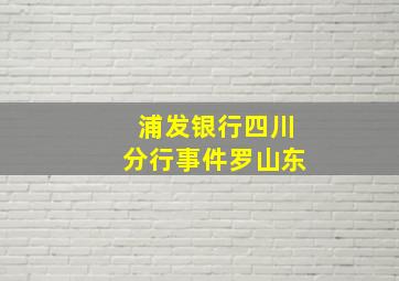 浦发银行四川分行事件罗山东