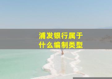 浦发银行属于什么编制类型