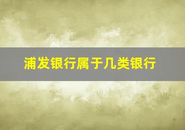 浦发银行属于几类银行