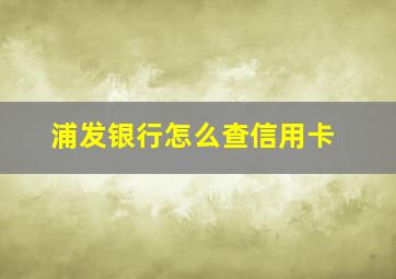 浦发银行怎么查信用卡