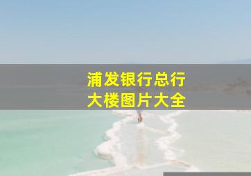 浦发银行总行大楼图片大全