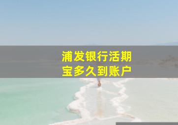 浦发银行活期宝多久到账户