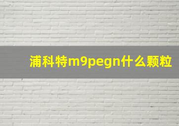 浦科特m9pegn什么颗粒