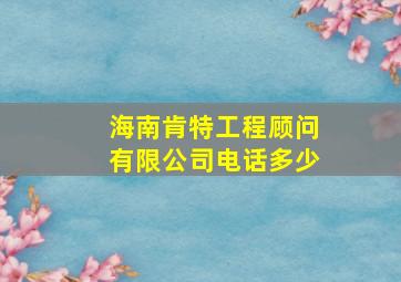 海南肯特工程顾问有限公司电话多少