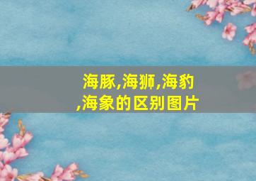 海豚,海狮,海豹,海象的区别图片