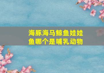 海豚海马鲸鱼娃娃鱼哪个是哺乳动物