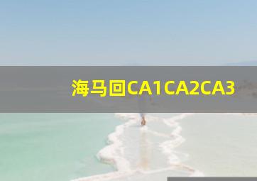 海马回CA1CA2CA3