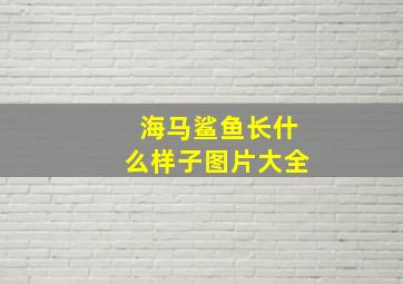 海马鲨鱼长什么样子图片大全