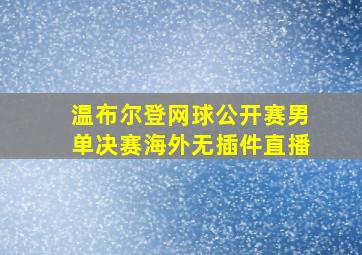 温布尔登网球公开赛男单决赛海外无插件直播