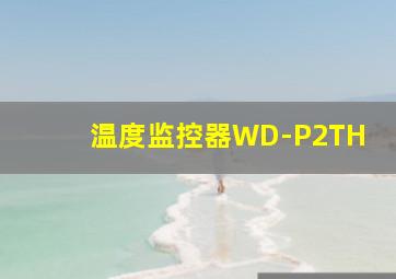 温度监控器WD-P2TH